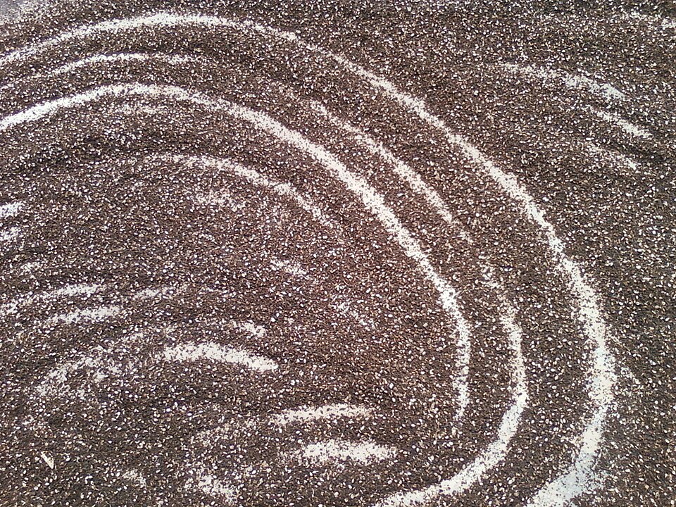 Mustard seed